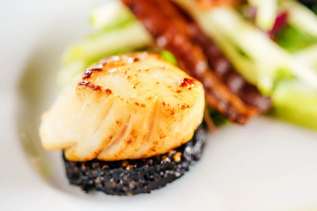 Black pudding with scallop