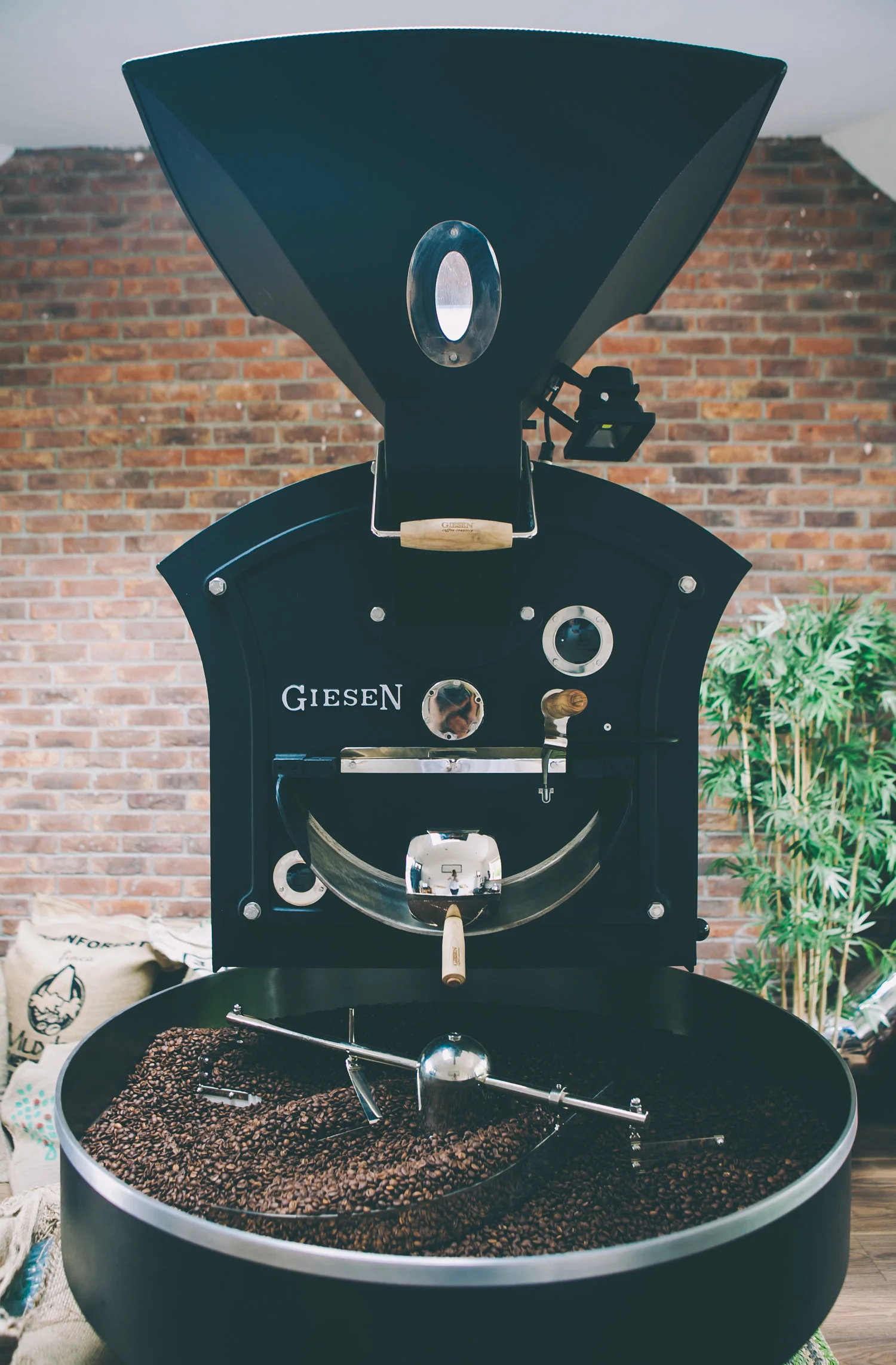 Studio Coffee Roaster